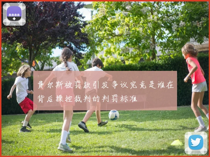 费尔斯被罚款引发争议究竟是谁在背后操控裁判的判罚标准
