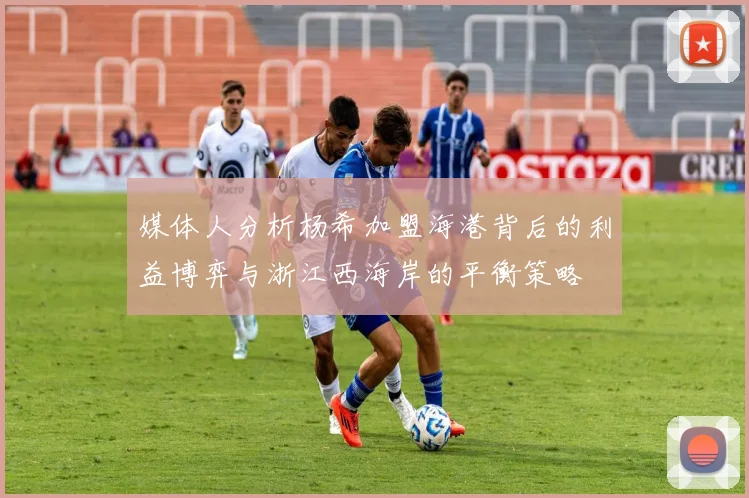 媒体人分析杨希加盟海港背后的利益博弈与浙江西海岸的平衡策略