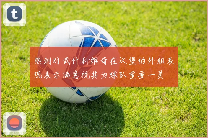 热刺对武什科维奇在汉堡的外租表现表示满意视其为球队重要一员