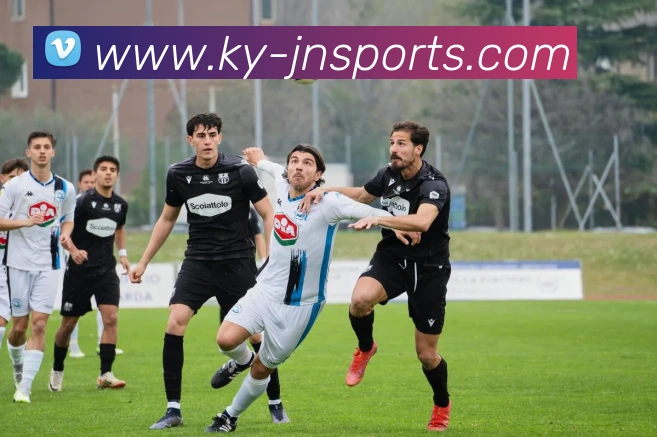 江南体育APP 封面图